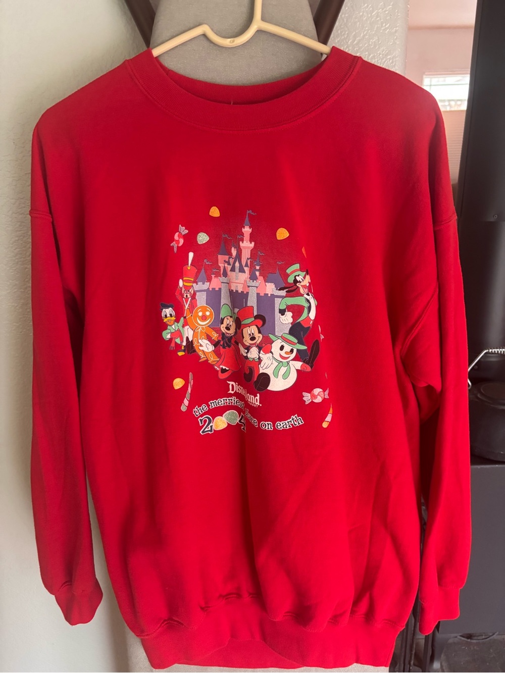 Disney sweatshirt (2004)